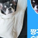 엠엔코퍼레이션