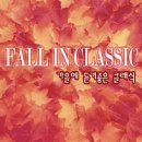 와수전통시장 이미지