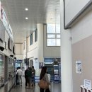 해변 낚시 마트 | 진도항)| 세기알해변 스노쿨링🤿| 제주신화월드, 미영이네, 대정하나로마트, 돌담통닭, 오드랑베이커리...