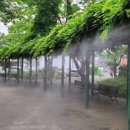 엄사중앙어린이공원 이미지