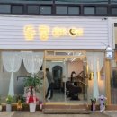 돌콩헤어