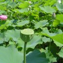 원식농장 이미지