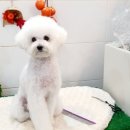 잇츠 소미 스타일 이미지