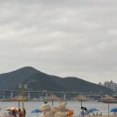 성일(아) | 맛집 기행 1박 2일 부산 출장 | 본전돼지국밥, 마구로테이블, 성일집, 바오하우스, 이재모피자