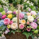 강선애(41기) 선생님 수필미학 등단 축하드립니다. 이미지