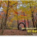 항골 이미지