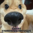 진상 5일시장 | 🫧1月 일상