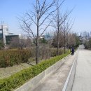 밤가시공원 이미지