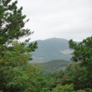 상암2리 Daum카페