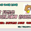 돼지갈매기 이미지