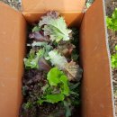 부춘농장 이미지