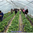 서일여행 이미지