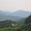 영화마을