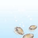 시와 시론 이미지