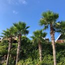 중문그린힐통나무펜션 이미지