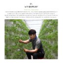 뿌리농산 - 원주시 남원로 288-6 | 새싹삼 효능 먹는방법 새싹인삼 '올바른농산 새싹삼' 솔직 후기