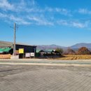 호연지기 | 오지산행후기(1341차) 철원한탄강주상절리길 2025.11.14(금)