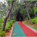 노적봉길 이미지