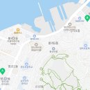 파란꽃배달조경