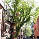 상원세탁소 이미지