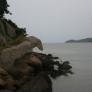 성산  매부리 이미지