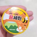 창대세탁 | 프릿지 리찌크루 체험일찌 54. 권쎄오의 지속가능한 하루 엿보기_인간 가치소비의 일상(비건,제로...