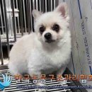 노원-상계-2851 이미지