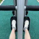 왕게임장 이미지