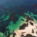 코난비치 이미지