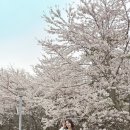 태안-안면-비상-16 | [태안 여행] 태안 튤립 축제 기간에 다녀온 태안...당일치기 여행 코스 (서산 버드랜드, 안면 카트 체험장)