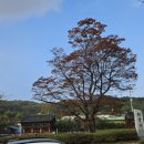 수의동강촌 이미지