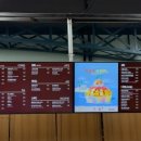 설빙고양