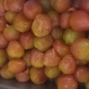 7개의 방울토마토 이미지