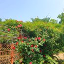 관악산 생태공원 티스토리