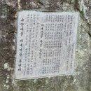더벤티부산수안점 | 김해 수안 마을 수국축제제목없음개화 상황 및 주차 팁 (6/26 방문 후기)