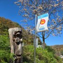 호명펜션 이미지