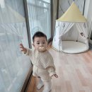애미헤어숍