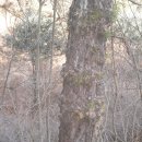 노디목민박 | [스크랩] 지리산길(인월~금계)중 인월에서 매동마을까지2월2일