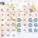 청춘다방 | 왕과사는남자 영월 청령포 장릉 어수리나물정식 왕사남 코스 완전정복 ft.아너드투어