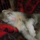 두레결혼정보 이미지