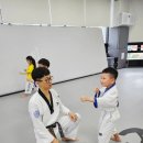 감일 나르샤 태권도장 이미지