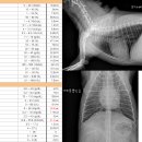 꼬마동물병원 이미지