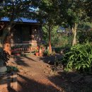 자연이랑민박 이미지