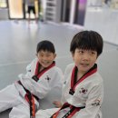 늘품태권도장 이미지