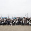 마이독그루밍 이미지