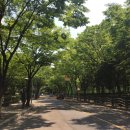 목동동로1길 이미지