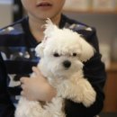 천지동물병원 이미지