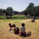 대한목장 이미지