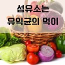 우울증 위험 높이는 이 음식 이미지