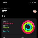 댄싱그랜마 이미지